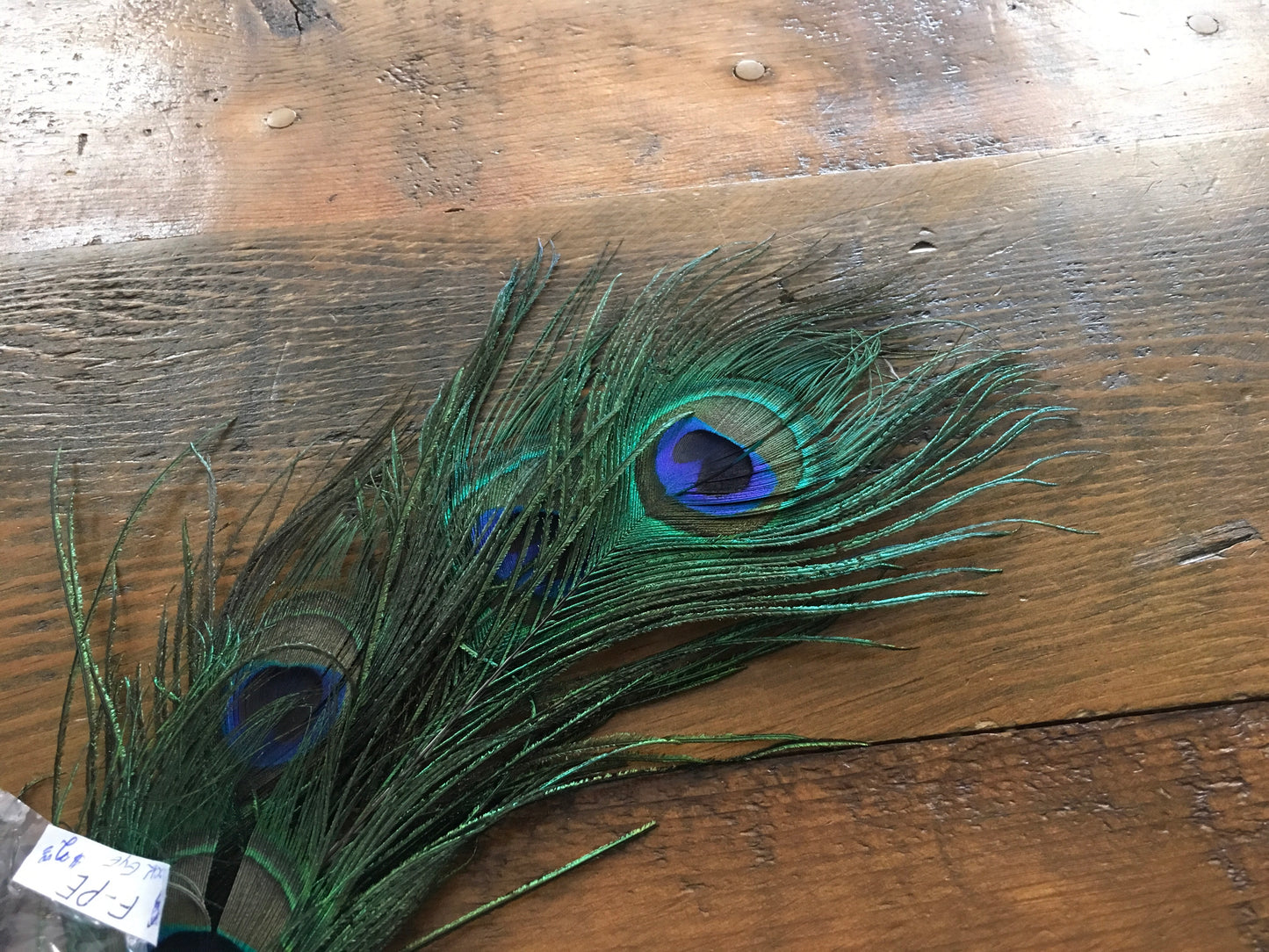 Accessories Hat Feathers F-PE peacock