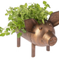 Antique Copper Finish Pig Planter CG174794 Giftware