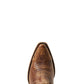 Shoes Women’s Ariat Dixon 10040395 TTKU-EE