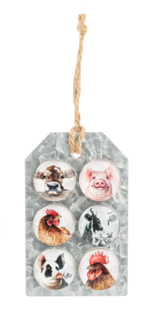 Farm Animal Magnet set home decor CB177812